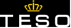 Logo TESO